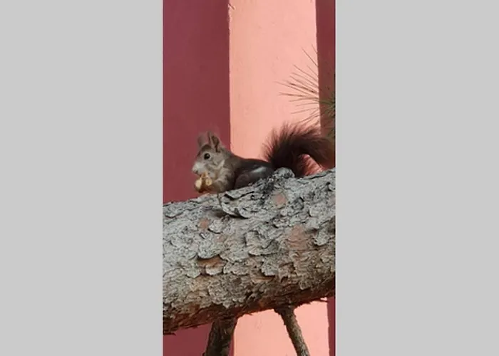 La Muralla Roja * Calp